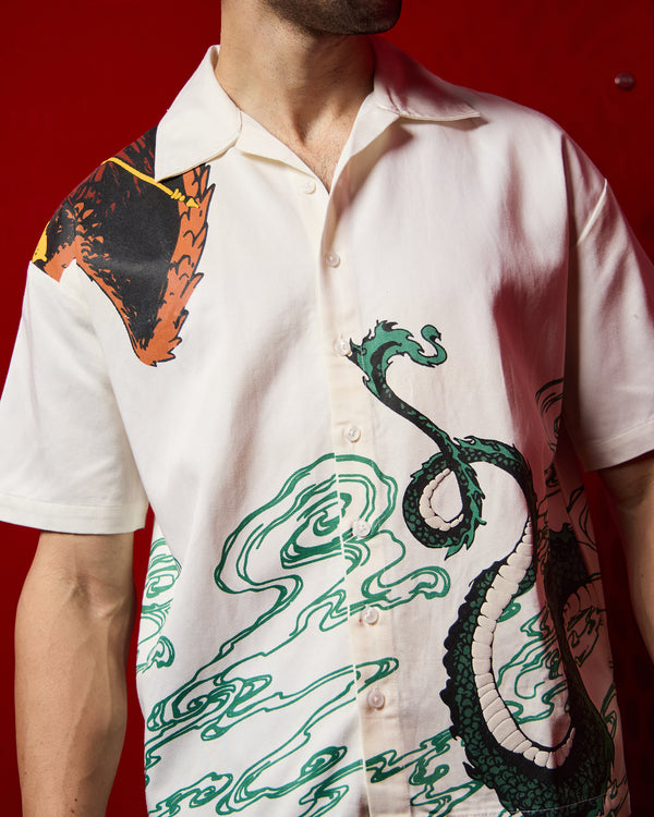 Garuda vs Naga – Indian Mythology Shirt